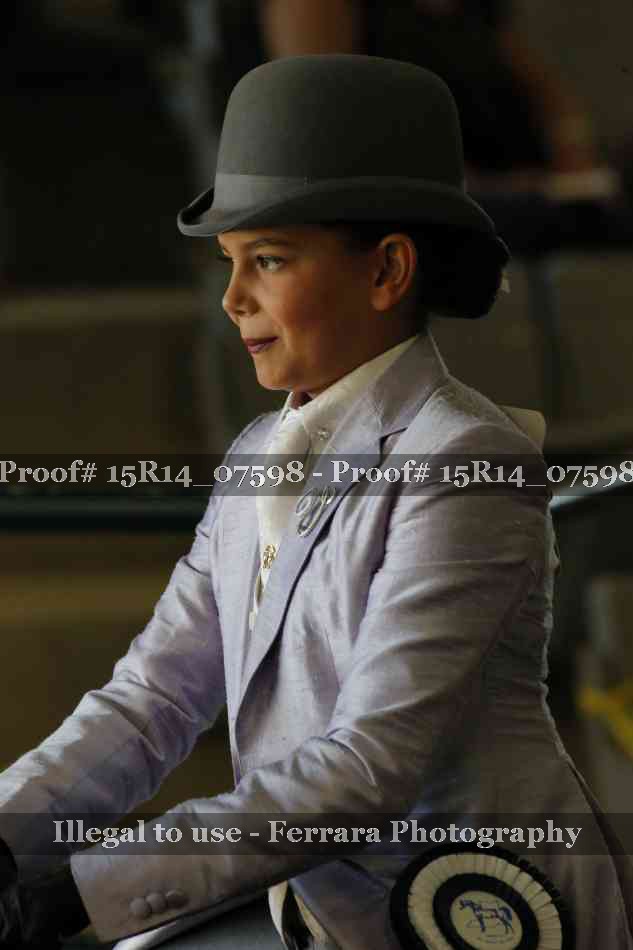 Proof Number 15R14_07598