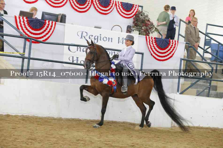 Proof Number 15R14_07600