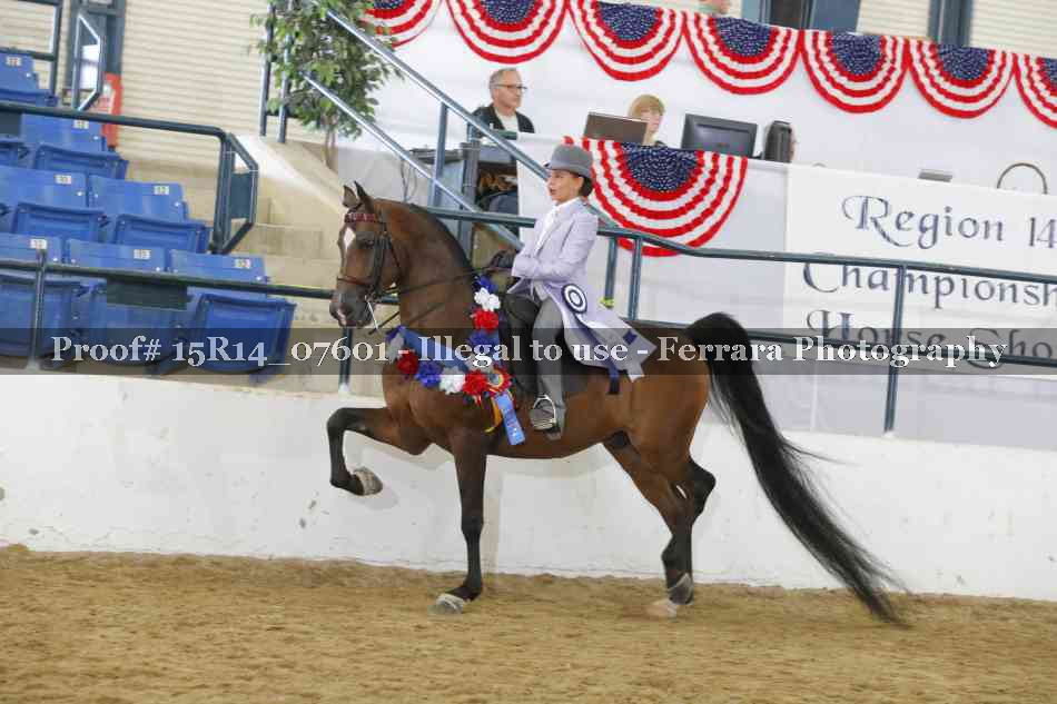 Proof Number 15R14_07601