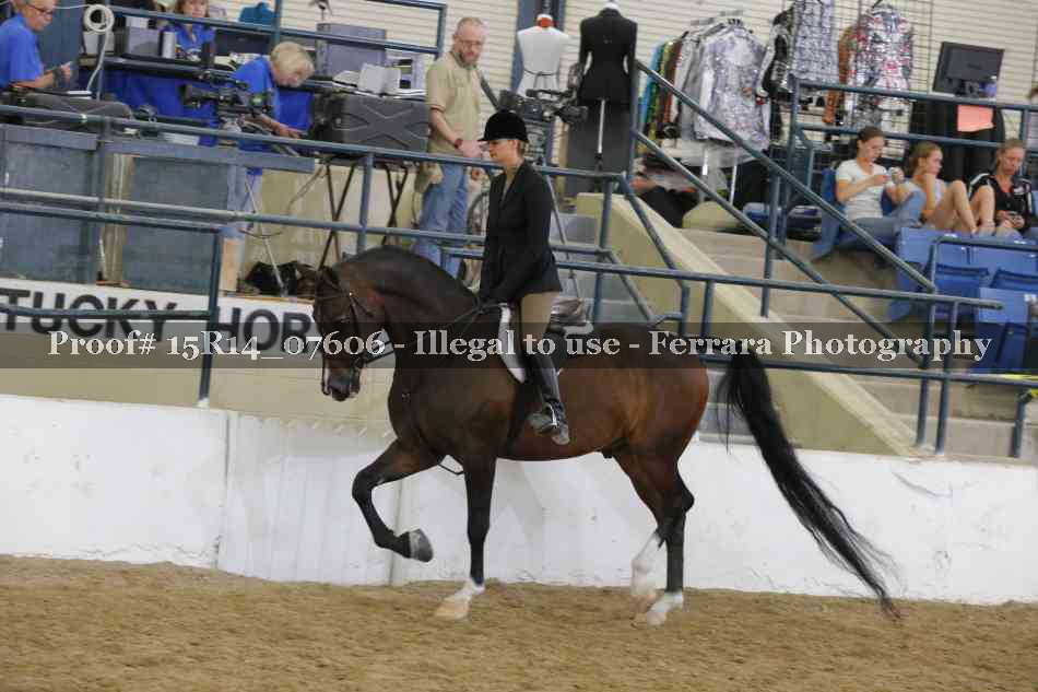 Proof Number 15R14_07606