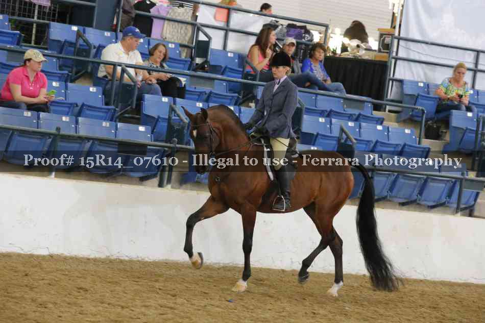 Proof Number 15R14_07610