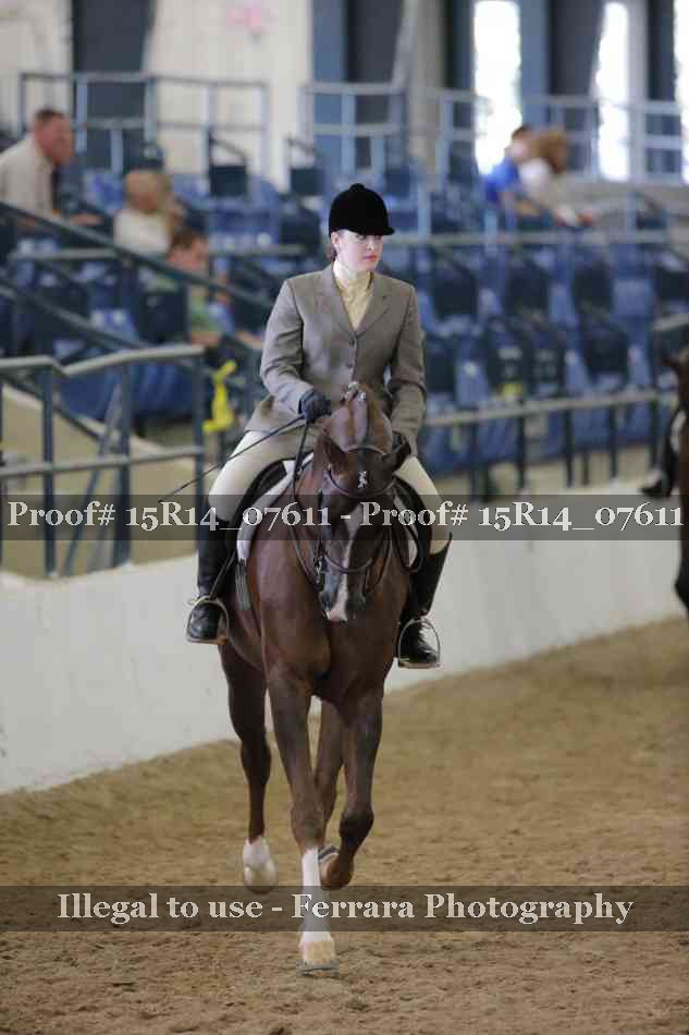 Proof Number 15R14_07611