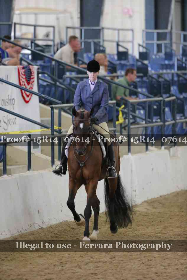 Proof Number 15R14_07614