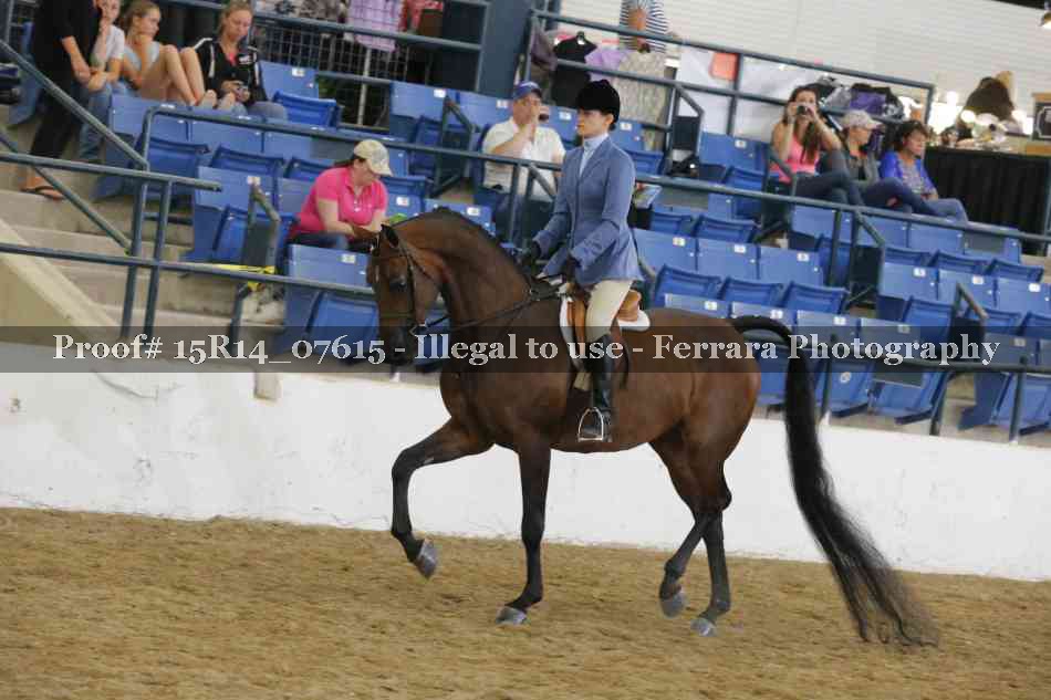 Proof Number 15R14_07615