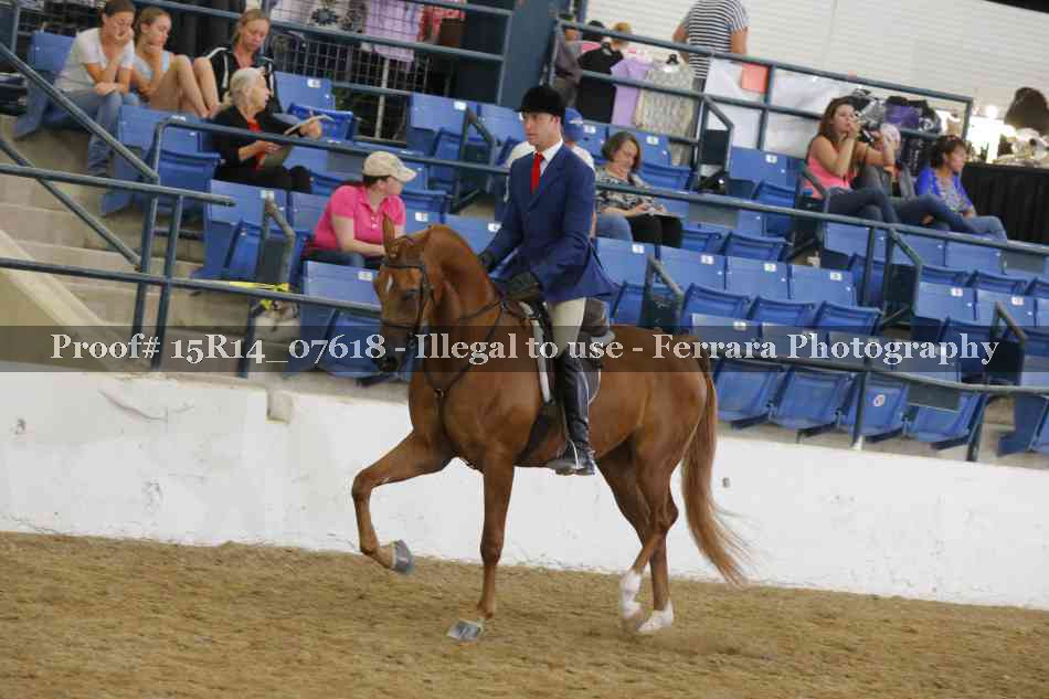Proof Number 15R14_07618