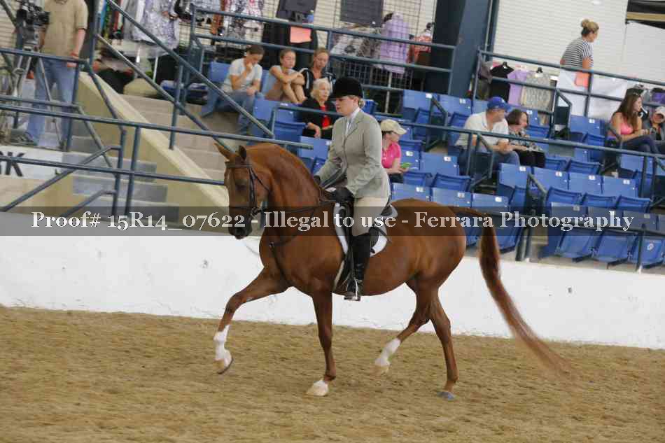 Proof Number 15R14_07622