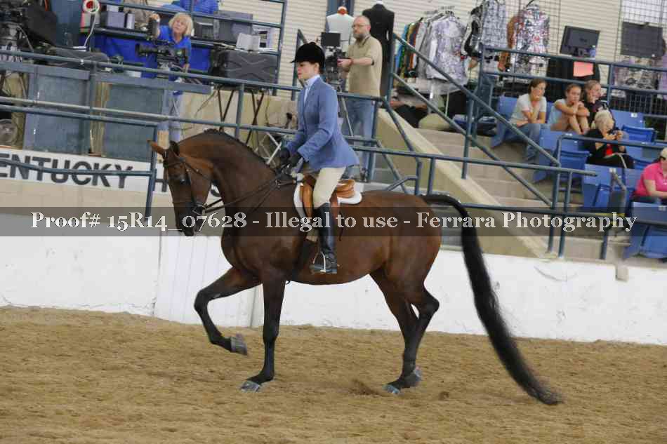 Proof Number 15R14_07628