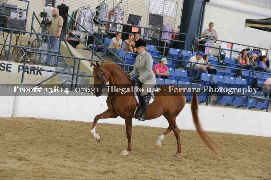 Proof Number 15R14_07631