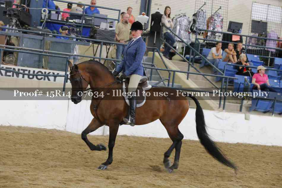 Proof Number 15R14_07634