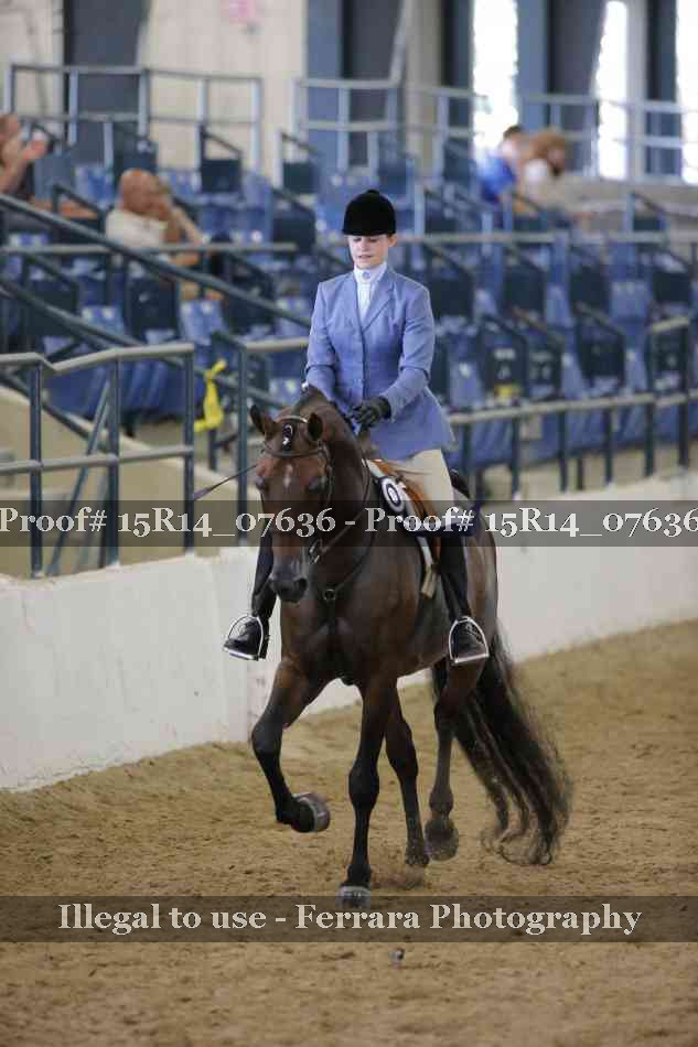 Proof Number 15R14_07636