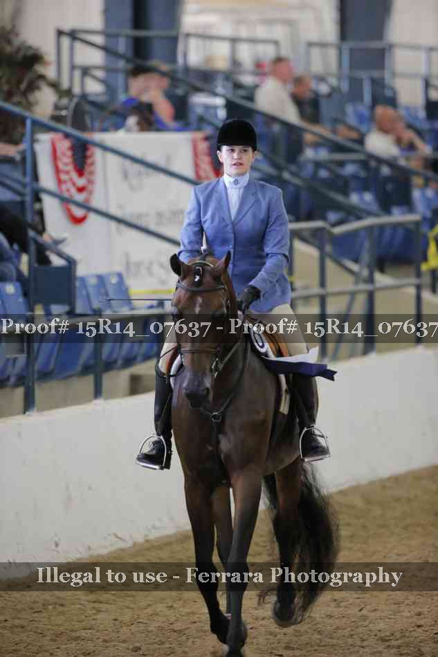 Proof Number 15R14_07637
