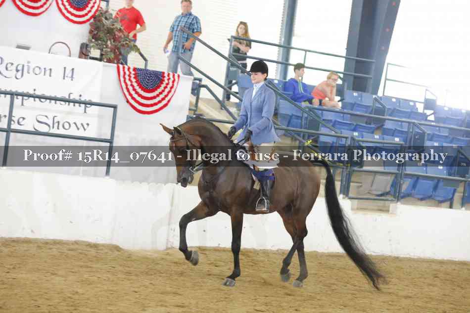 Proof Number 15R14_07641
