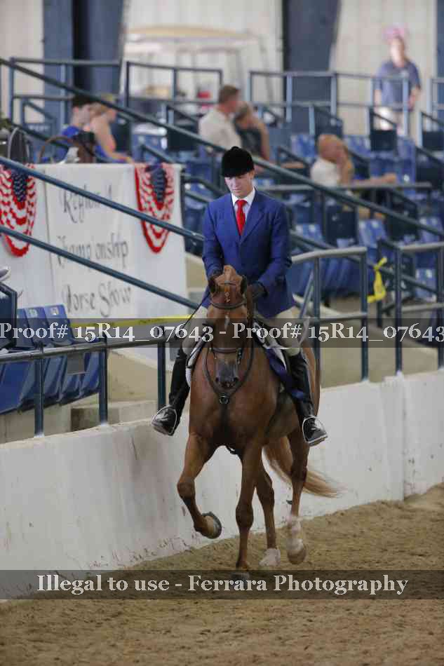 Proof Number 15R14_07643