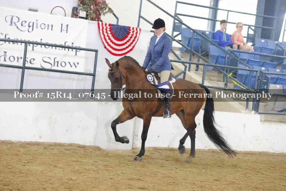 Proof Number 15R14_07645