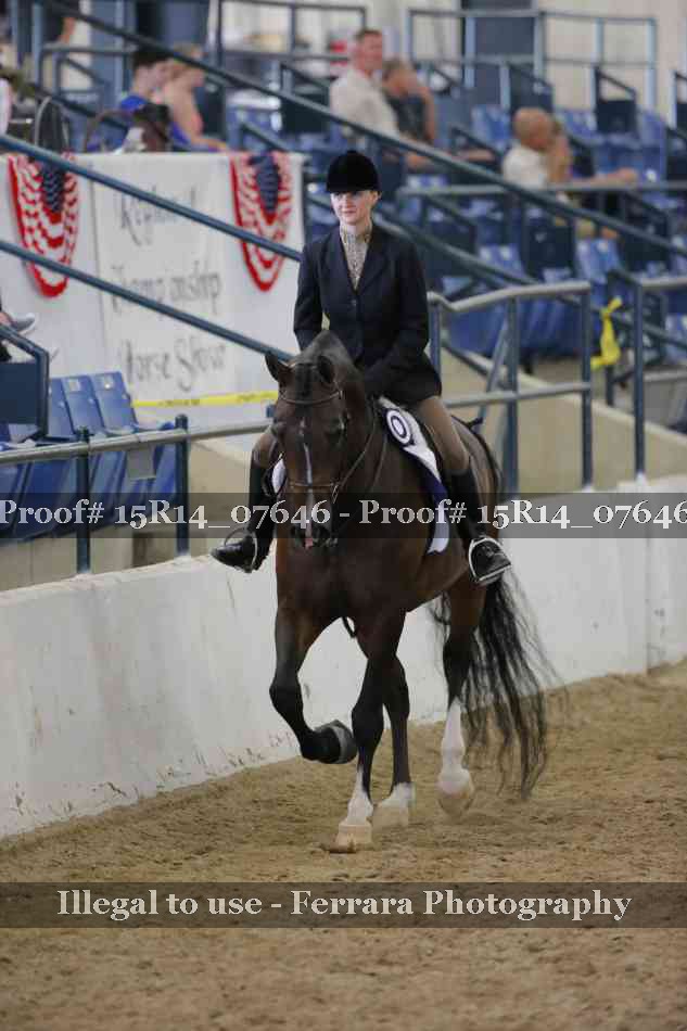 Proof Number 15R14_07646