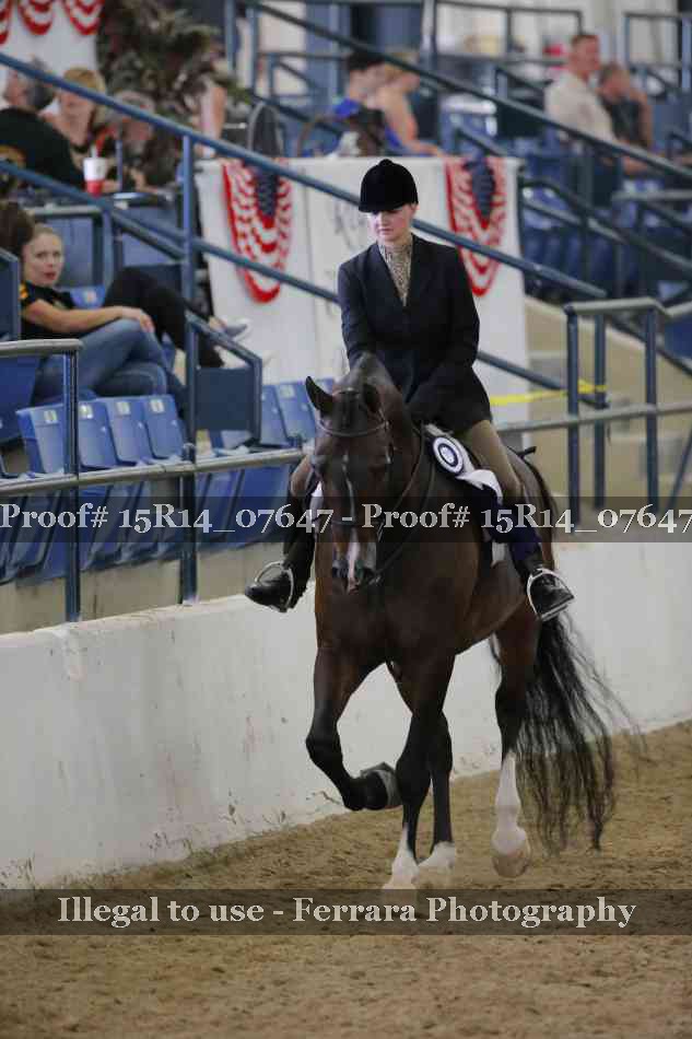 Proof Number 15R14_07647