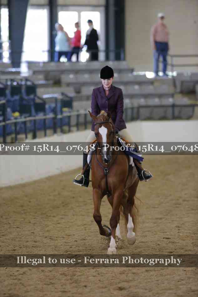 Proof Number 15R14_07648