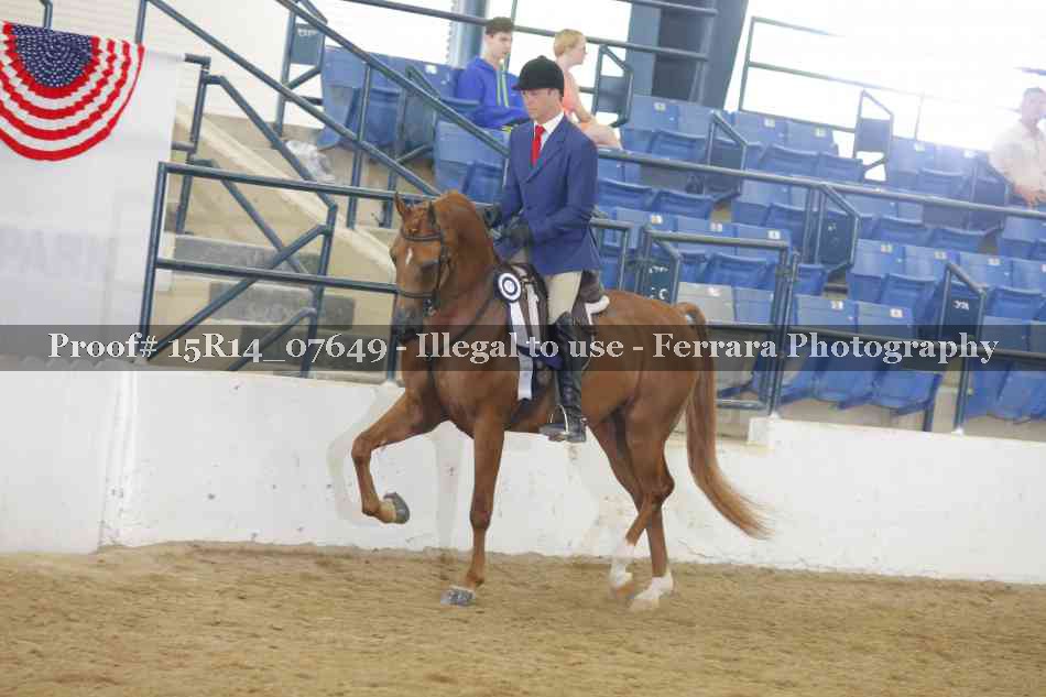 Proof Number 15R14_07649