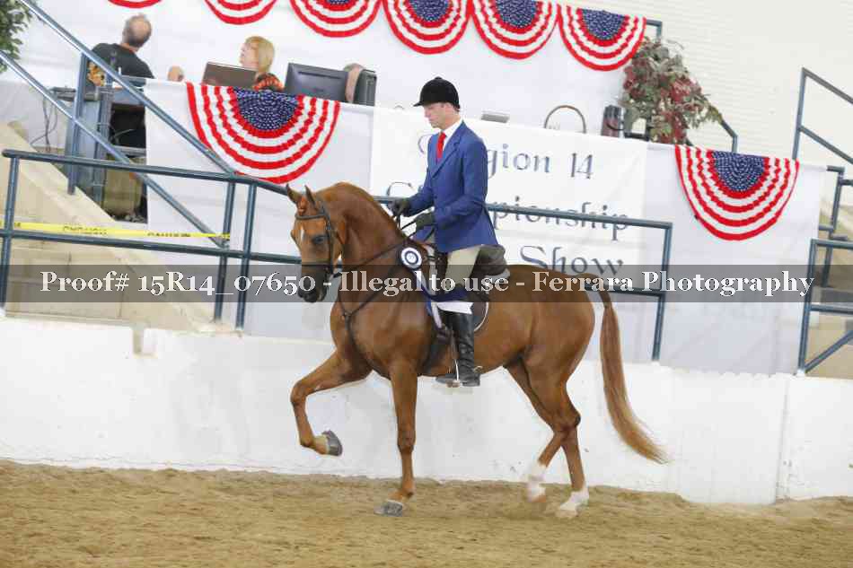 Proof Number 15R14_07650