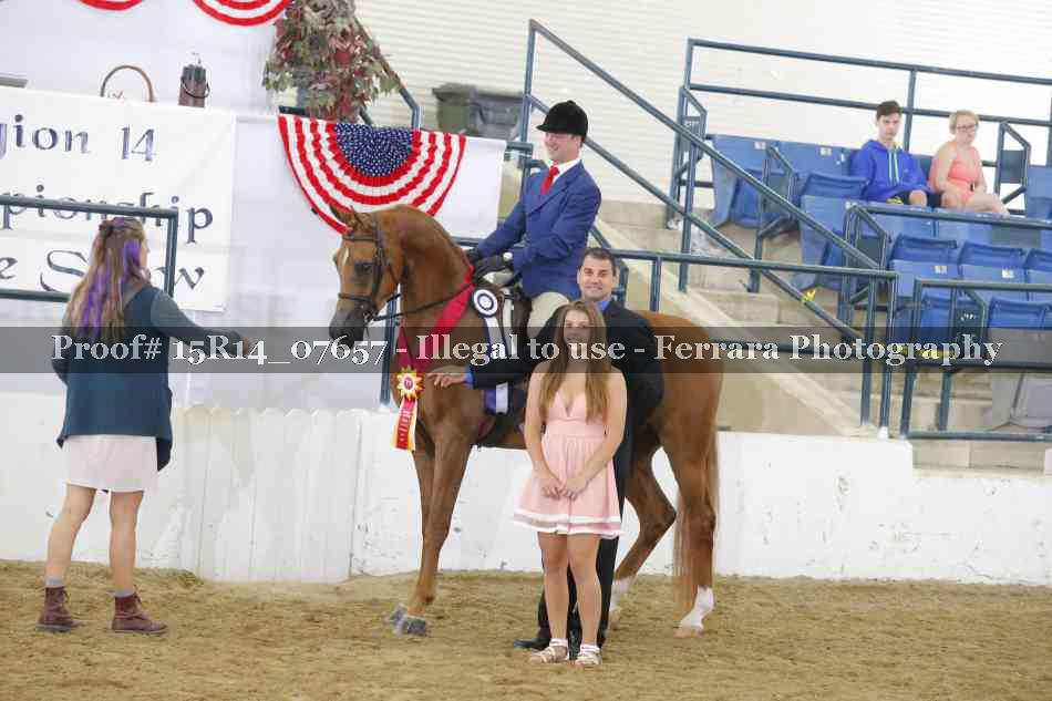 Proof Number 15R14_07657