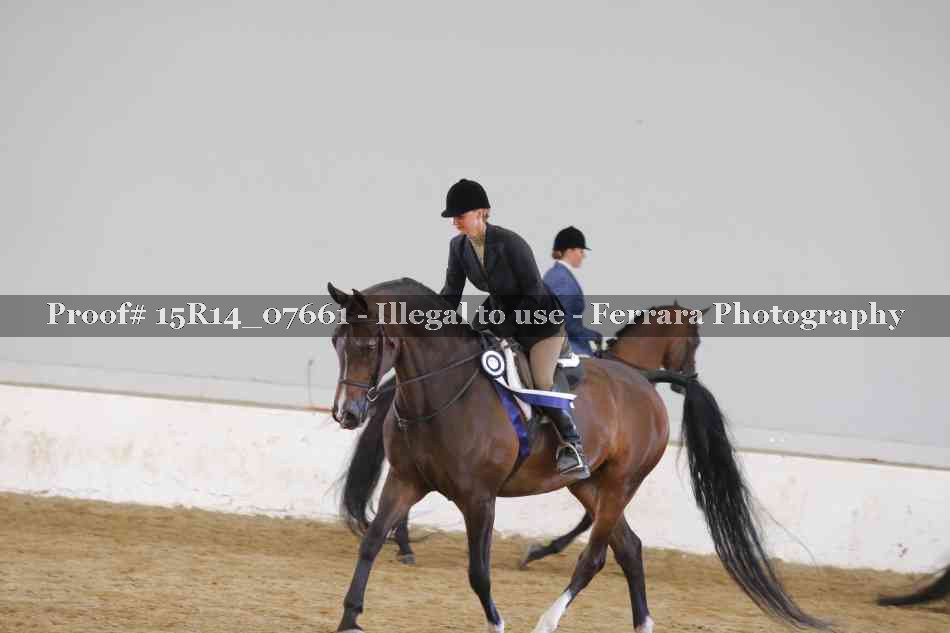 Proof Number 15R14_07661