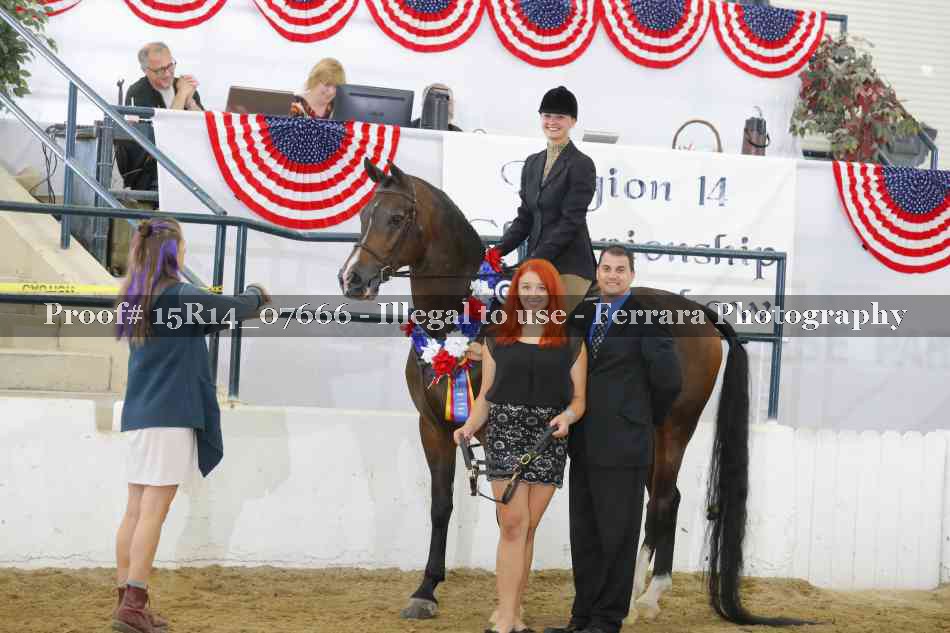 Proof Number 15R14_07666