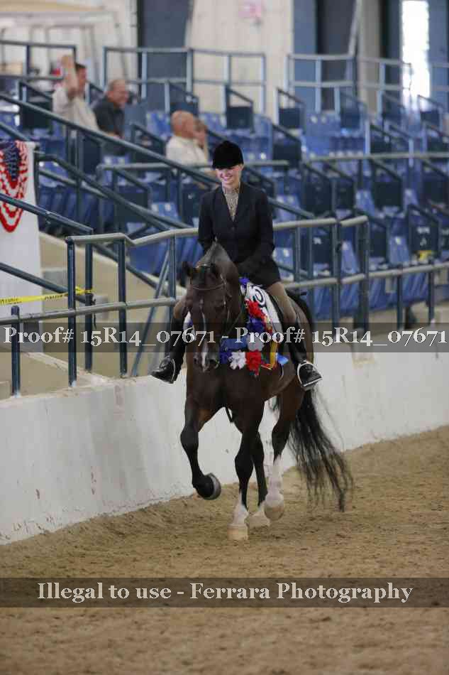 Proof Number 15R14_07671
