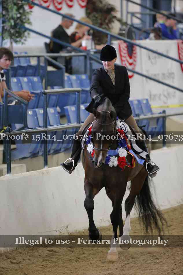 Proof Number 15R14_07673
