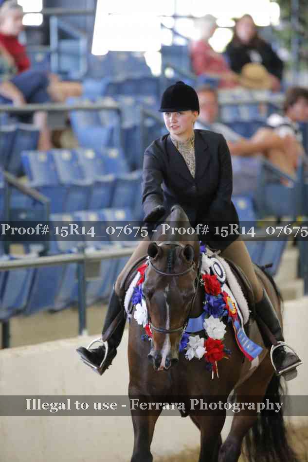 Proof Number 15R14_07675