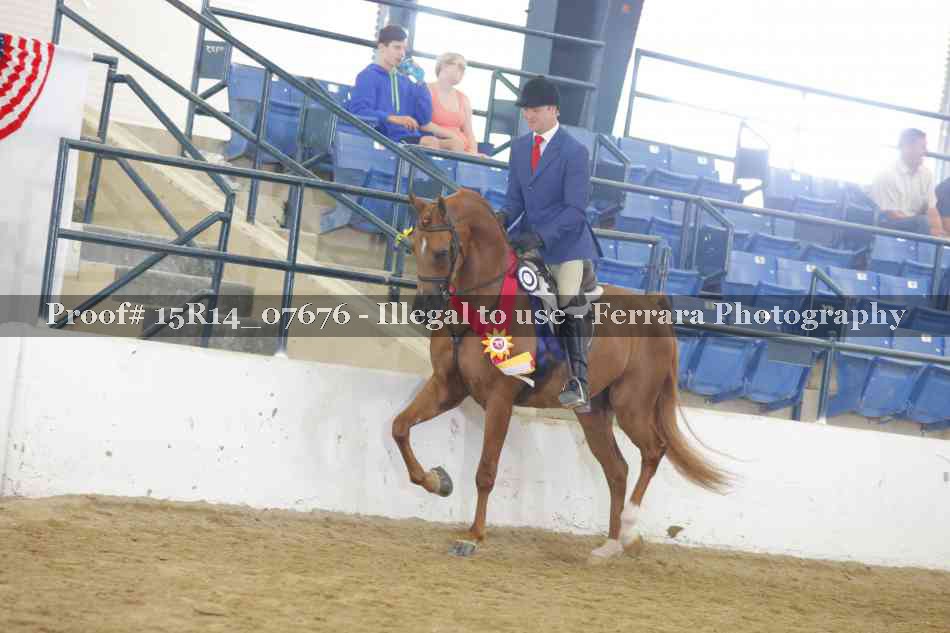Proof Number 15R14_07676