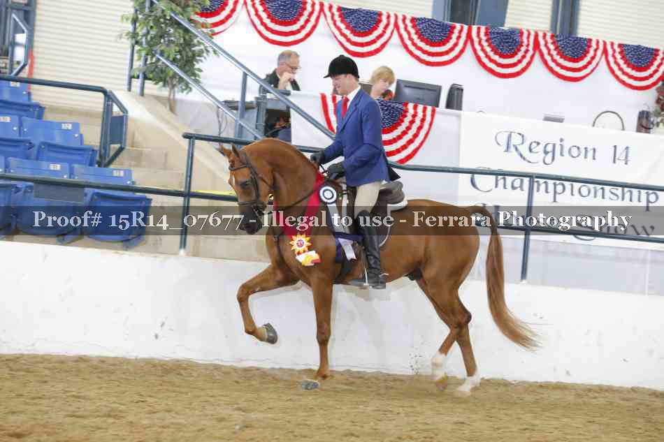 Proof Number 15R14_07677
