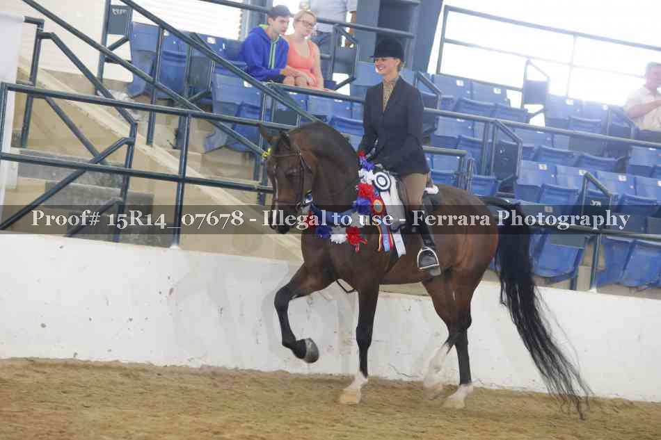 Proof Number 15R14_07678