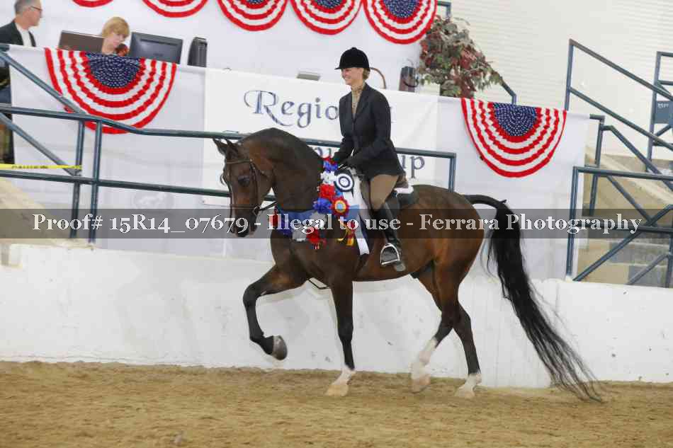 Proof Number 15R14_07679