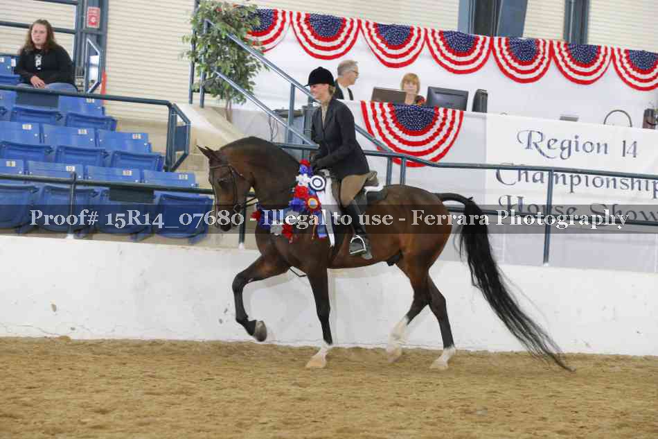 Proof Number 15R14_07680