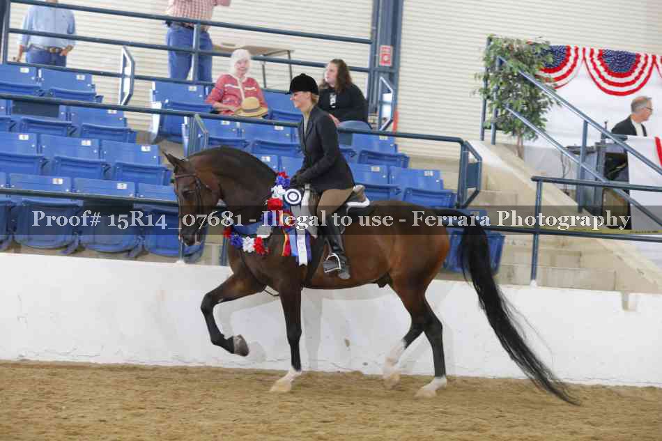 Proof Number 15R14_07681
