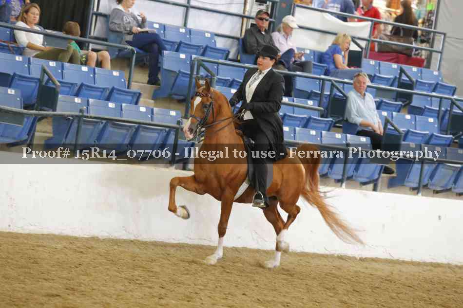 Proof Number 15R14_07706