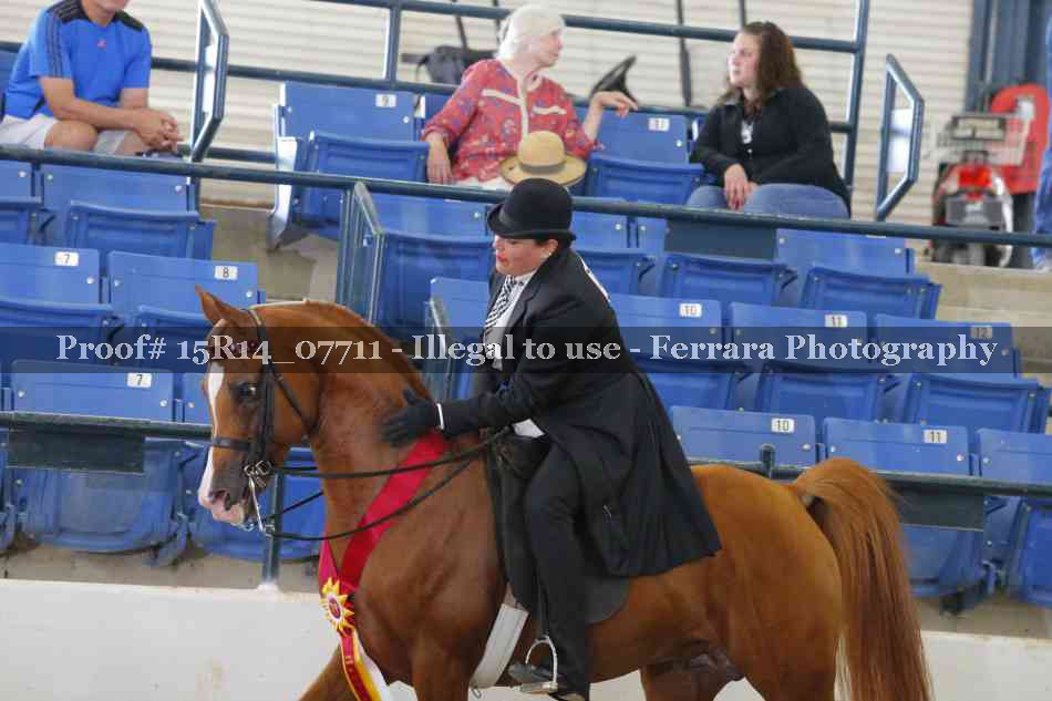 Proof Number 15R14_07711