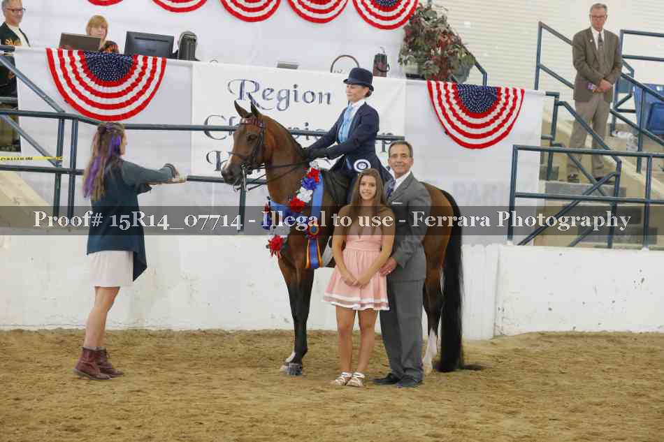 Proof Number 15R14_07714