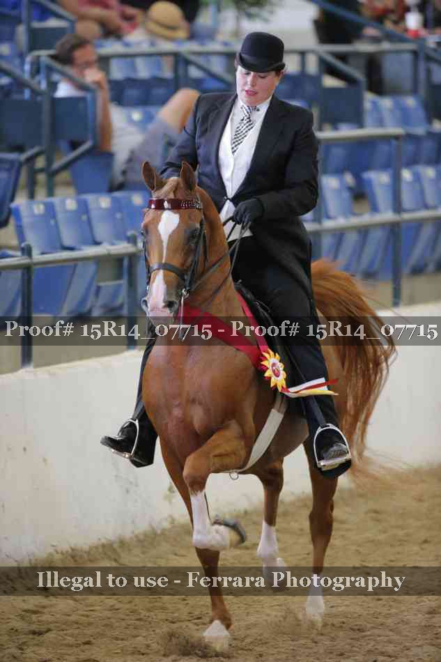 Proof Number 15R14_07715