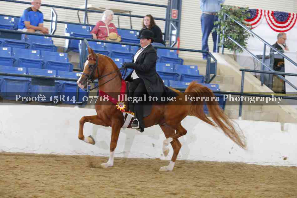 Proof Number 15R14_07718