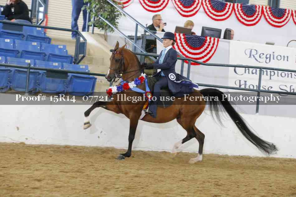 Proof Number 15R14_07721