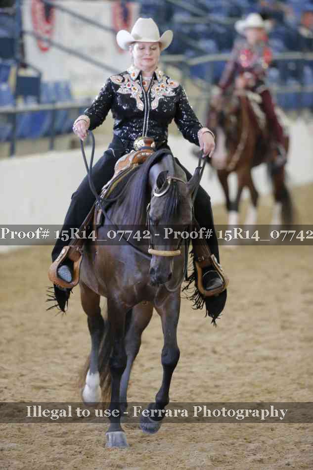 Proof Number 15R14_07742