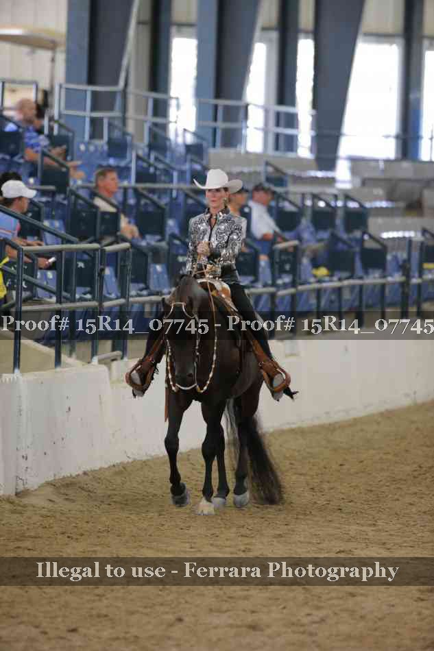 Proof Number 15R14_07745