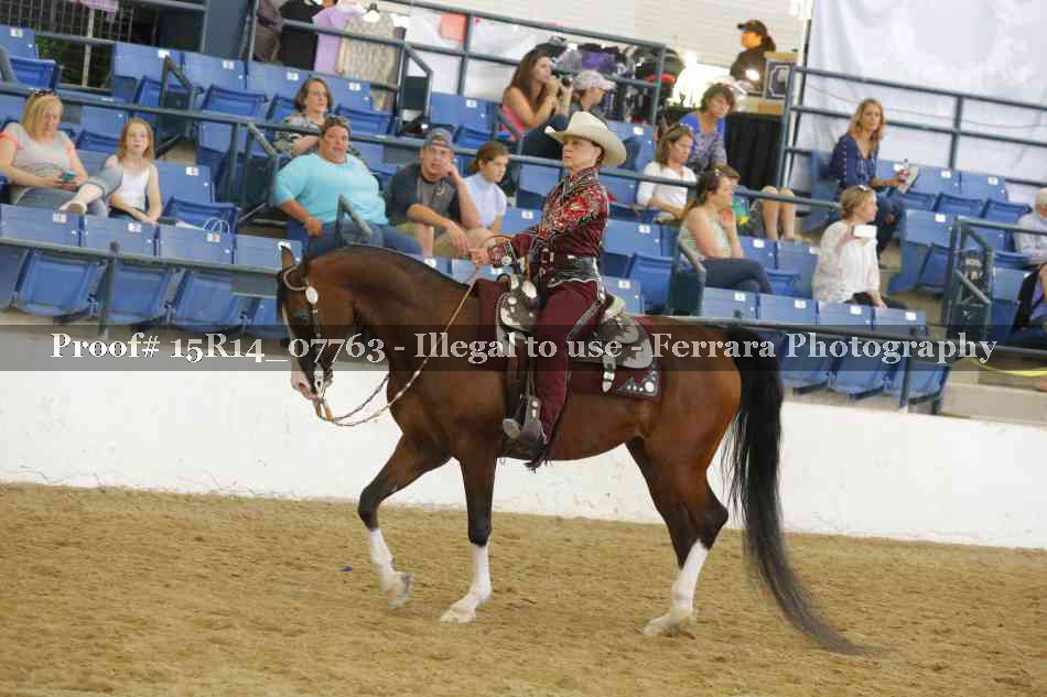 Proof Number 15R14_07763