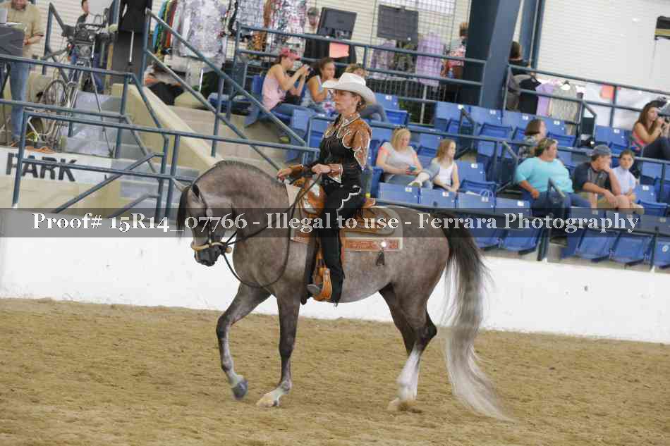 Proof Number 15R14_07766