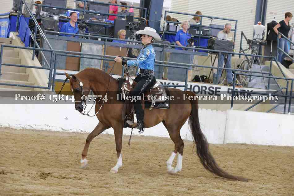 Proof Number 15R14_07774