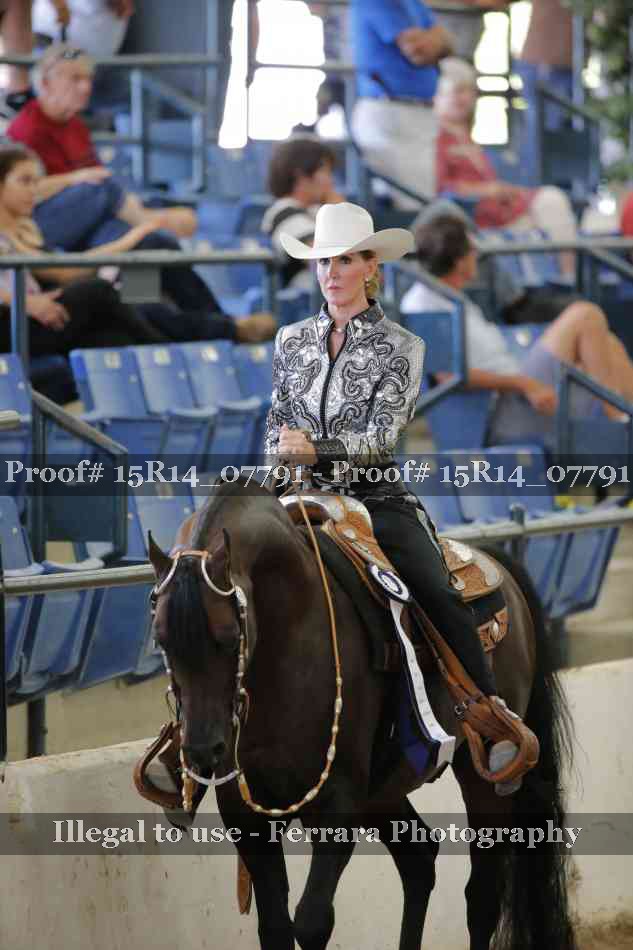 Proof Number 15R14_07791
