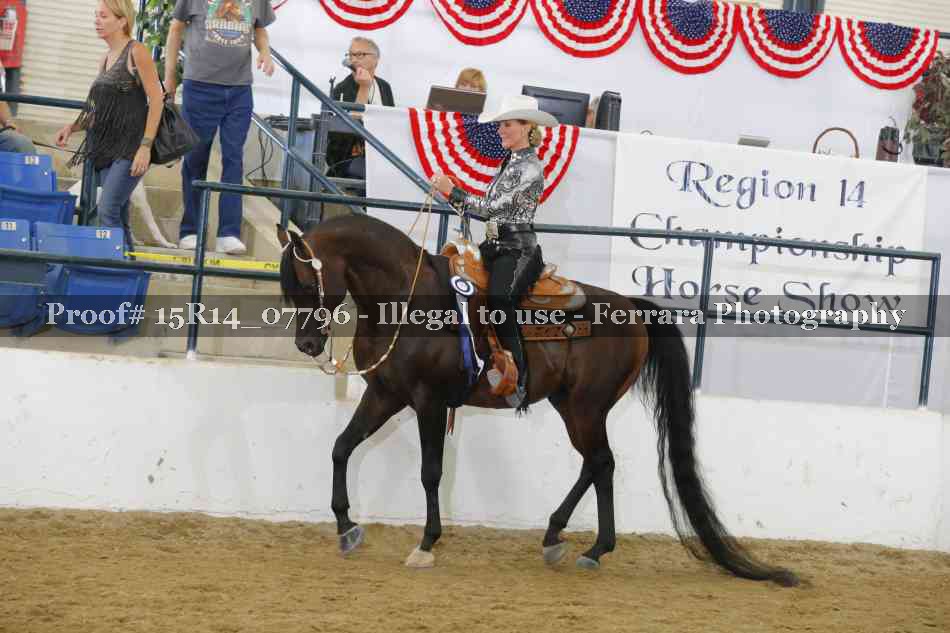 Proof Number 15R14_07796