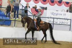 15R14_07796 thumbnail
