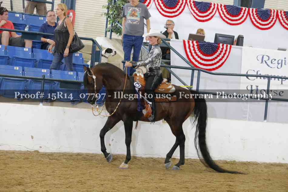 Proof Number 15R14_07797